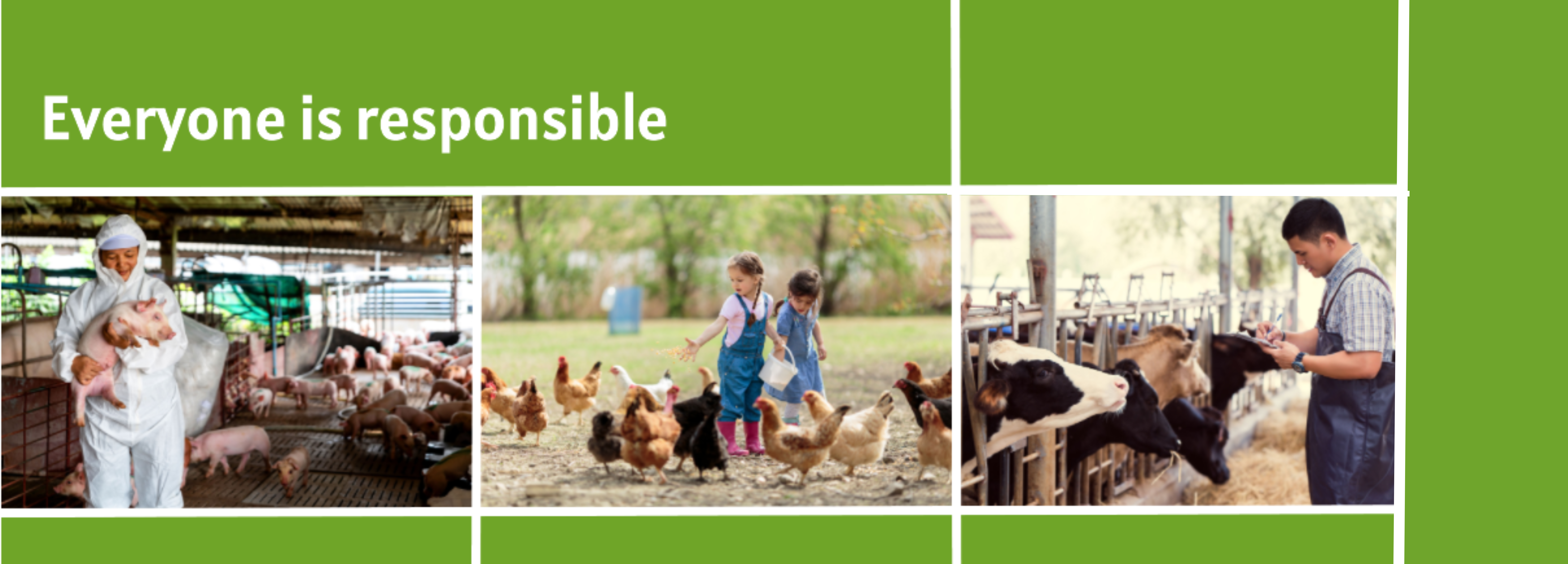 EU Platform on Animal Welfare - EU Platform on Animal Welfare