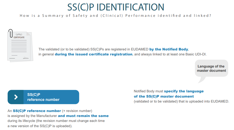 EUDAMED sscp identification infographic