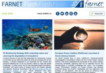 FARNET Flash newsletter June 2020