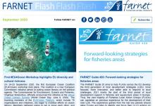 FARNET Flash newsletter September 2020