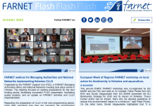 FARNET Flash newsletter October 2020